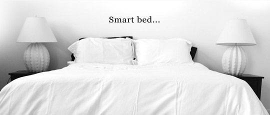 smart bed ohea