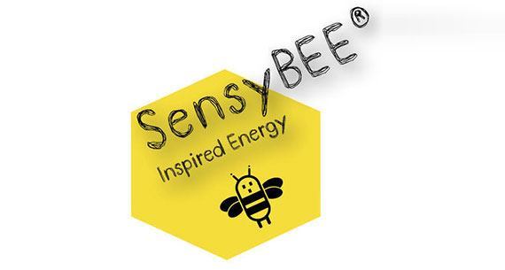 SensyBEE, un projet français de gestion d’énergie sur Indiegogo