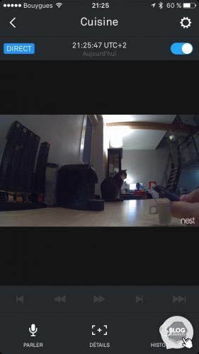 NestCam22