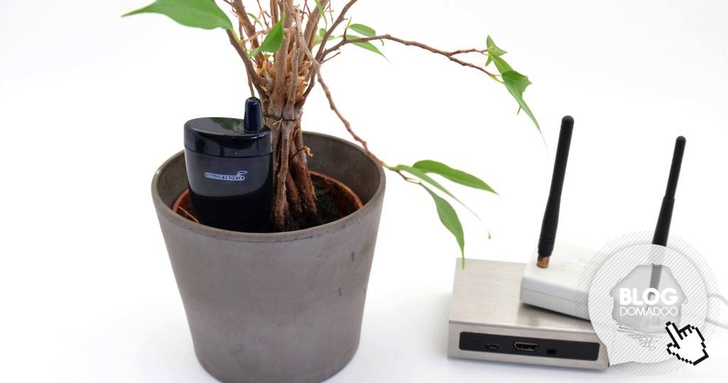 Arrosez vos plantes au bon moment avec Imagintronix, le capteur à moins de 10 euros !