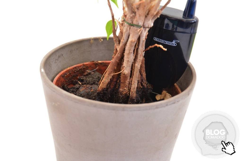 Avec Imagintronix, connaissez le moment parfait pour arroser vos plantes ! (et pour moins de 10 euros)