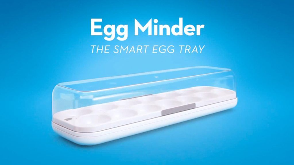 Egg Minder quirky