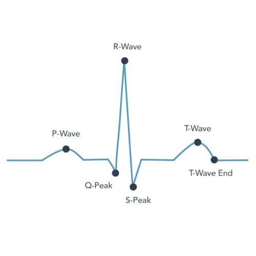 B-Secur HeartKey Transforme Votre ECG En Clé Biométrique - Blog Domadoo