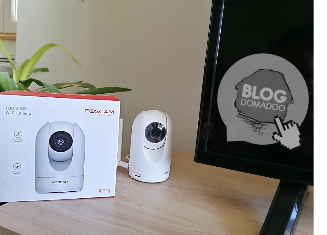FOSCAM R2M - Caméra IP motorisée FHD 2Mpx, P2P, son, vision de nuit et  enregistrement sur carte SD 