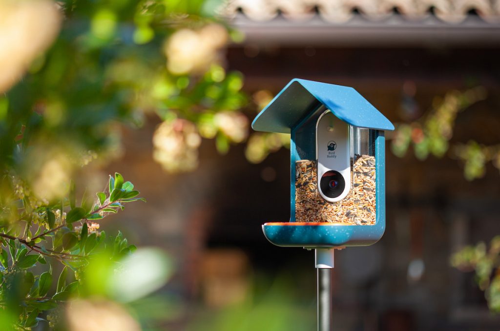 Bird Buddy : la mangeoire connectée qui photographie et identifie les  oiseaux