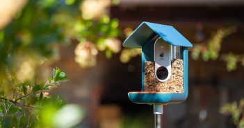 Bird Buddy, la Mangeoire à oiseaux connectée bird buddy une