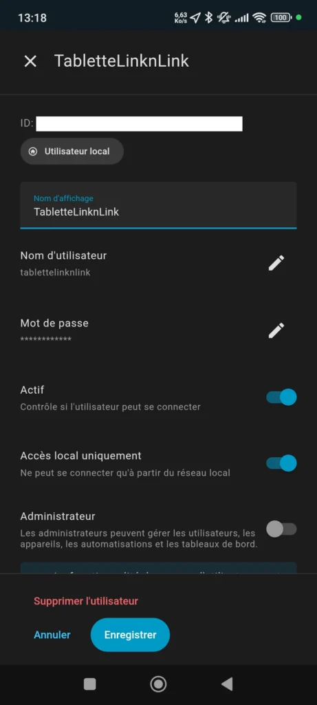 HA APP Tablette LinknLink IGS display max CPF1056 004